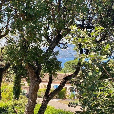 Villa Vue Mer Donnant Sur Le Golfe De St Tropez, 2 Chambres, 6 Pers, Piscine Commune Saint-Tropez Exteriör bild